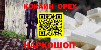 гидра Будённовск