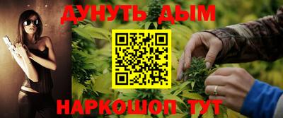 гидра Будённовск