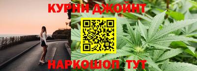 гидра Будённовск