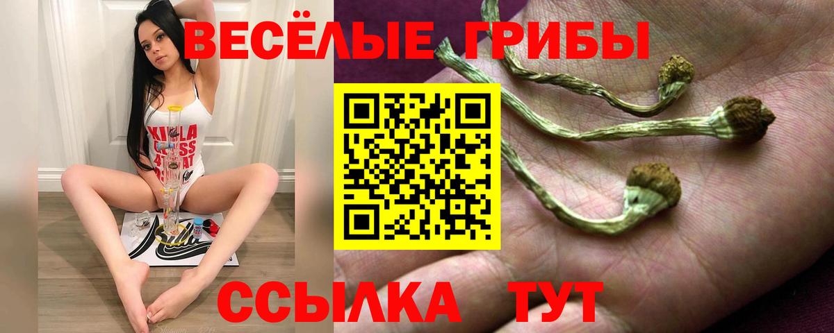Галлюциногенные грибы Psilocybe  Псилоцибиновые грибы ЛСД  Лысьва  Вход с VPN 